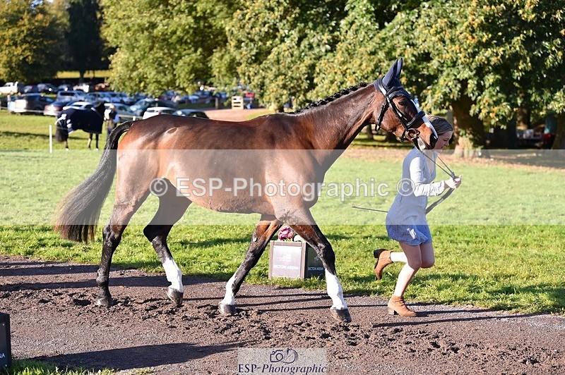 231022-095054-22068 - 449-INDI-Grace.Gillard-TrotUp+SJ