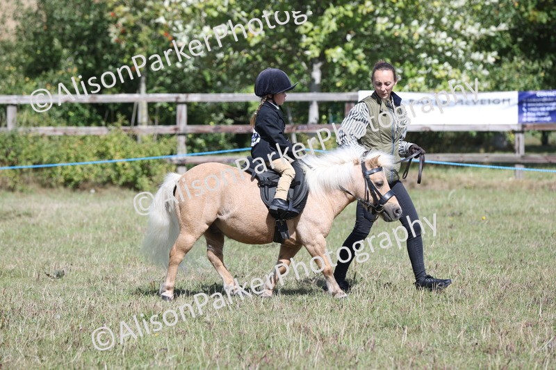 20250831-2664 - Class 17 - Lead Rein Pony