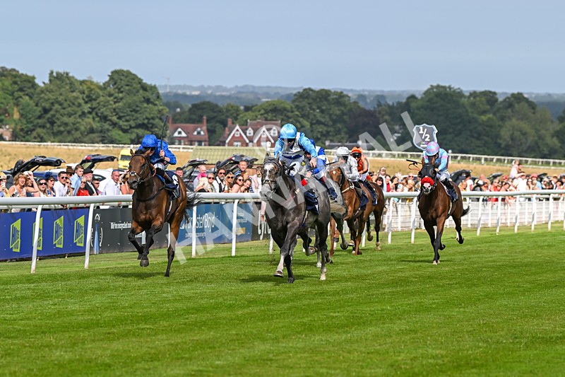 140824-Race 5-Havana Blue-6654 - Race 5