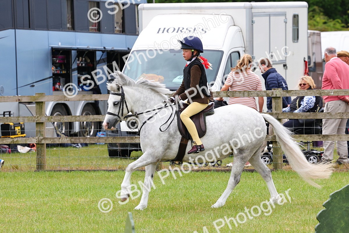 SBM_08630 - Class 42-43 - LIHS BSPS Heritage Working Sports Pony