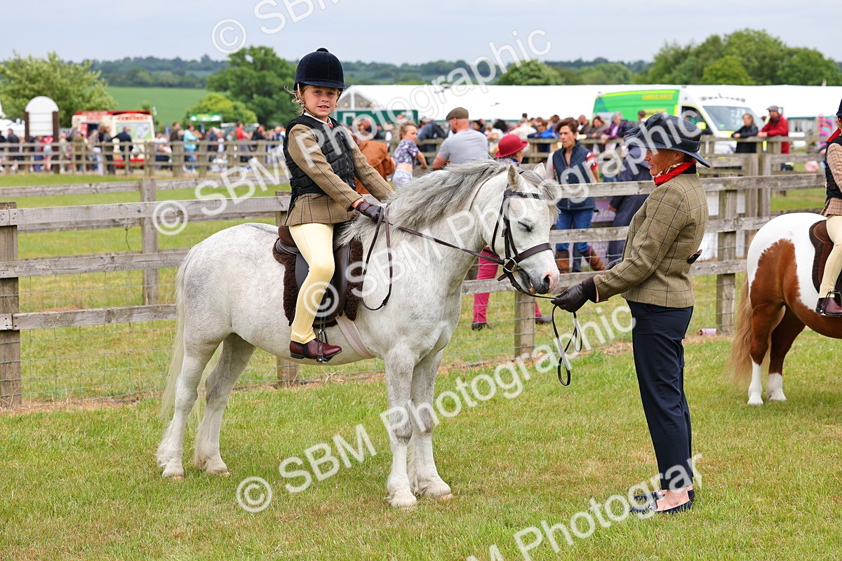 SBM_08330 - Class 42-43 - LIHS BSPS Heritage Working Sports Pony