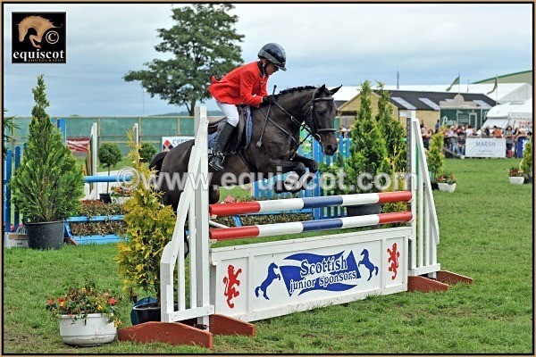 equiscot 5015 equiscot SANDY MCLEAN MADONNA - 2012 PRIZEWINNERS INDIVIDUAL PICS