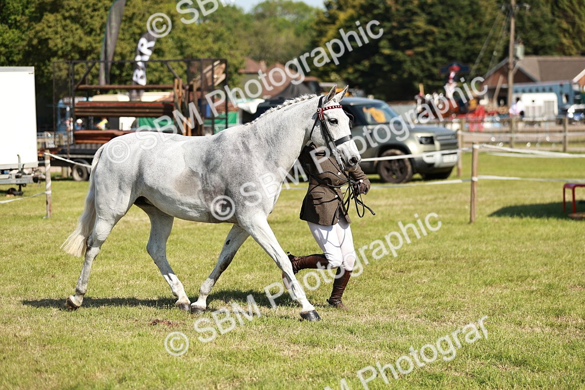 SBM_18905 - Class 114 - RIHS & SEIB Open Working Show Horse