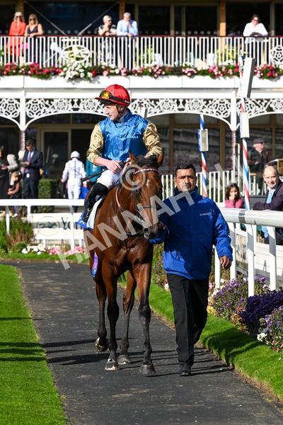111025-Race 1-Division-0200 - Race 1 Coral Rockingham Stakes at York