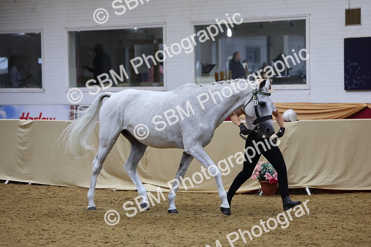 SBM_20909 - Class 902 - Supreme Final IH Veteran