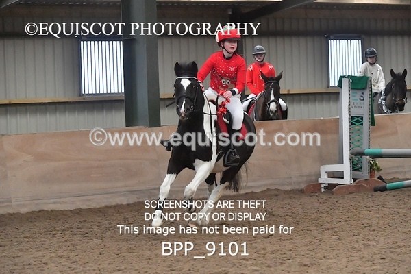 BPP_9101 - CLASS 3 50CM-70CM Pairs Show Jumping