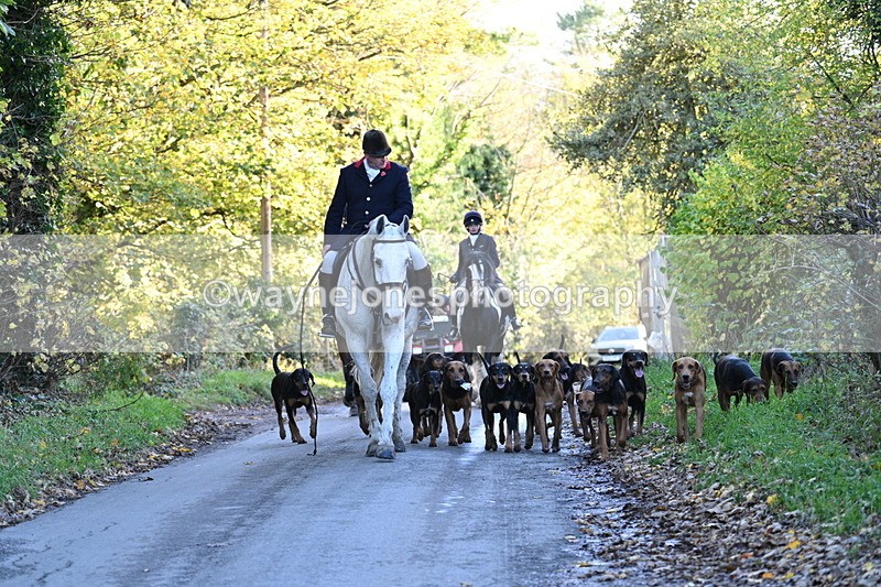 WJ7_8650 - Walk Home