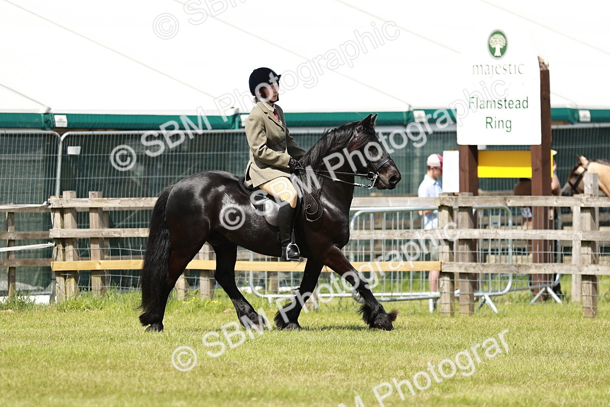SBM_07133 - Class 26-30 - Mountain and Moorland Ridden