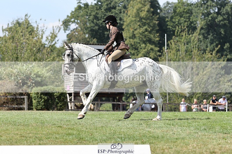 250823A-132108-31296 - Arena D