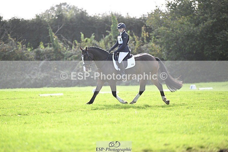 241025-120337-07004 - 374-Bella.Balian-BEECHWOOD.JOEY