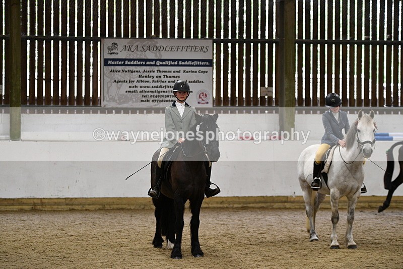 WJ5_8042 - Class 13 Ridden Part Breed