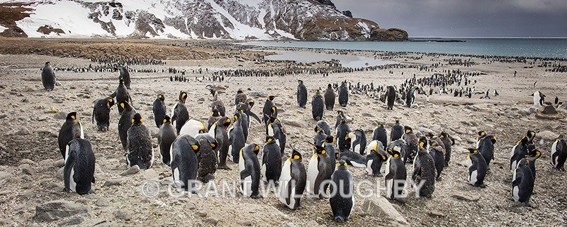  - Antartica