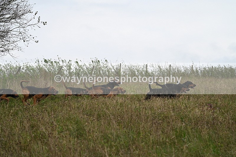 WJ7_9819 - Camera 1 & Last fence