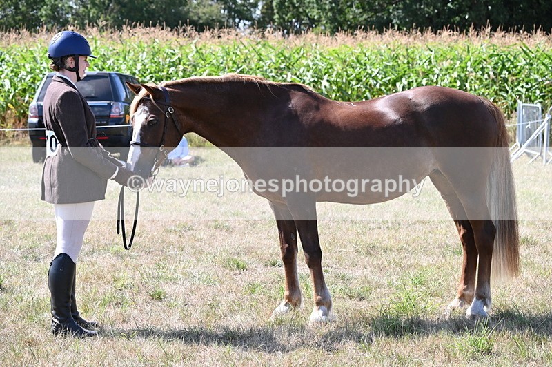 WJ6_4968 - Class 17 Mountain & Moorland