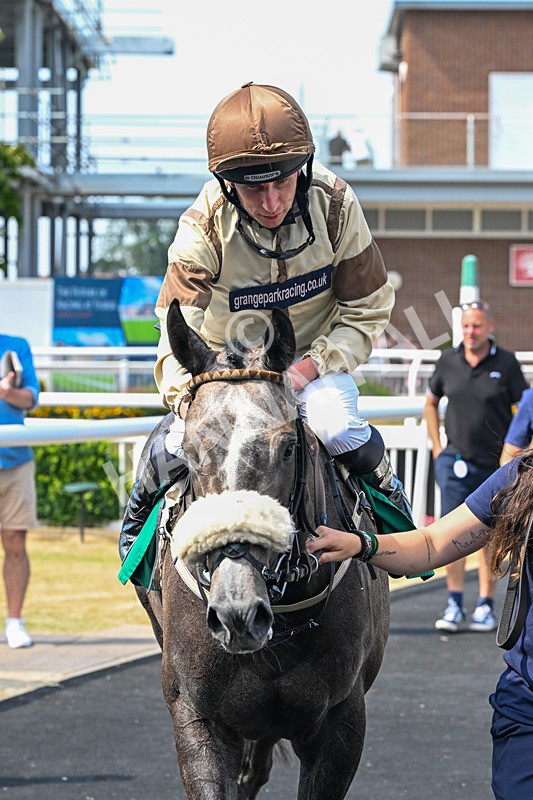 160726-Race 3-Angel Numbers-4494 - Race 3 15.03pm Sell Your Business With Anderson Barrowcliff Handicap