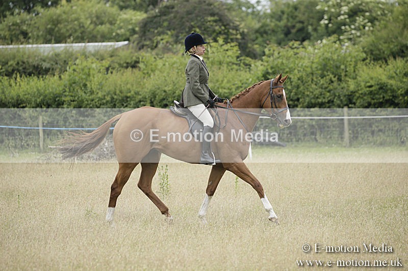 B230619-0882 - Bourne Valley Riding Club Summer Show 23/06/19