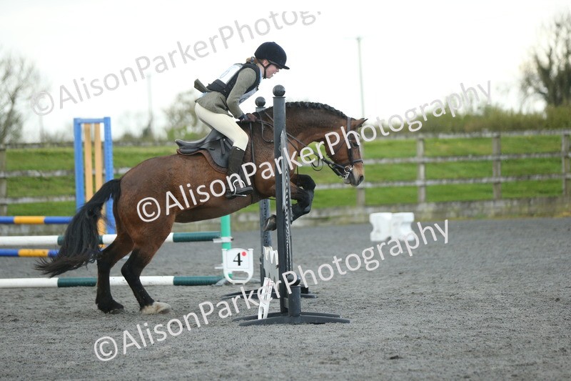 20260412-1913 - Show Jumping