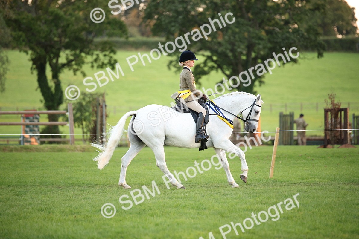 SBM_57097 - Super Supreme Championship