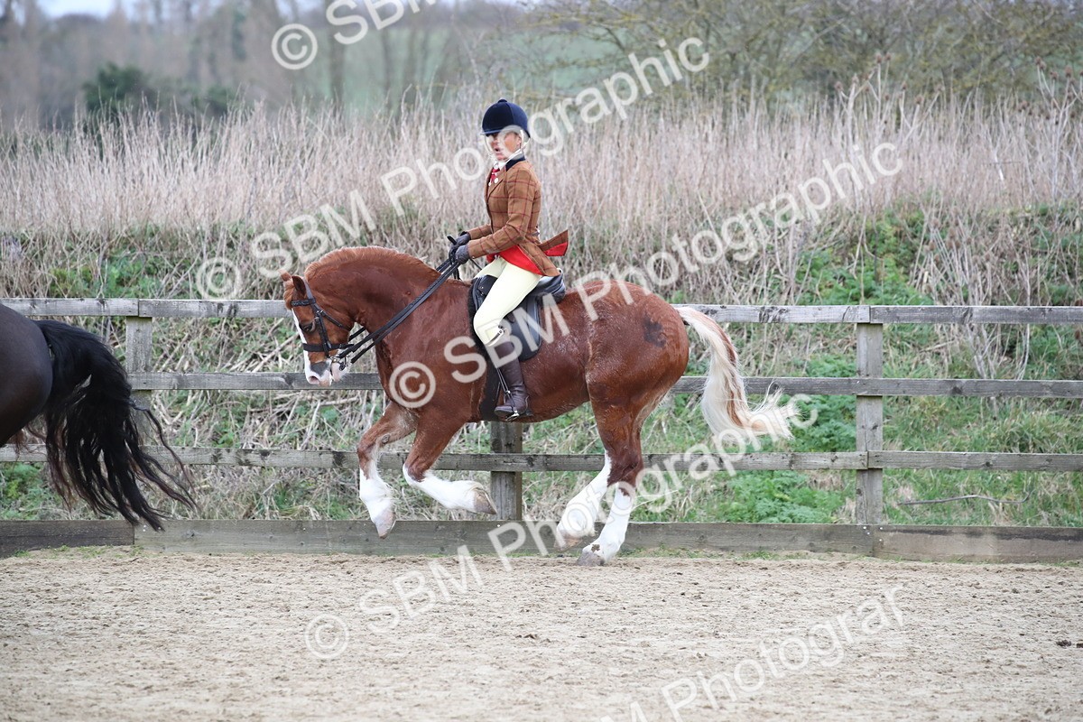 SBM_007247 - Class 10-13 - RIHS Small Large Breeds