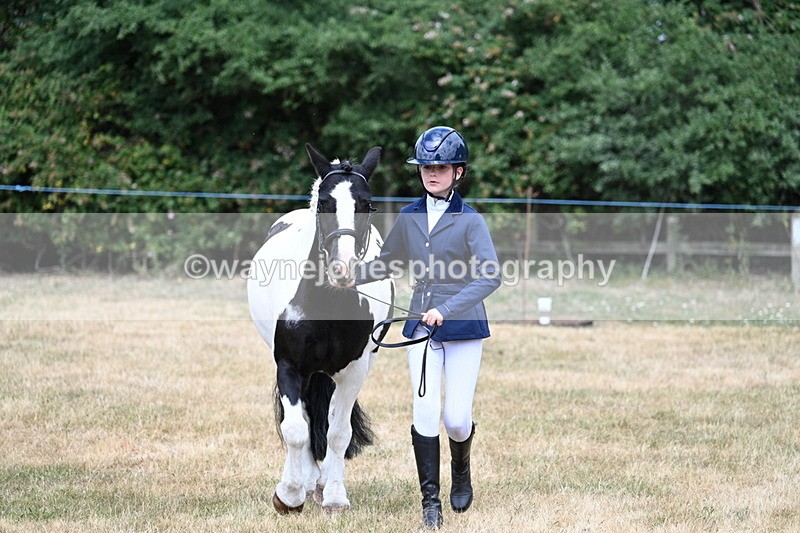 WJ7_1681 - Class 4 Prettiest Mare up to 14.2hh in hand