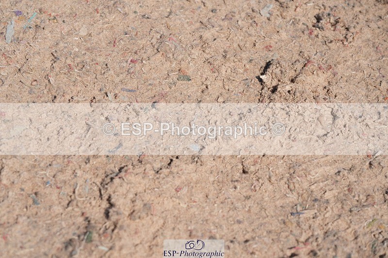 250712-105530-00749 - Cls 2 Small Pony Team