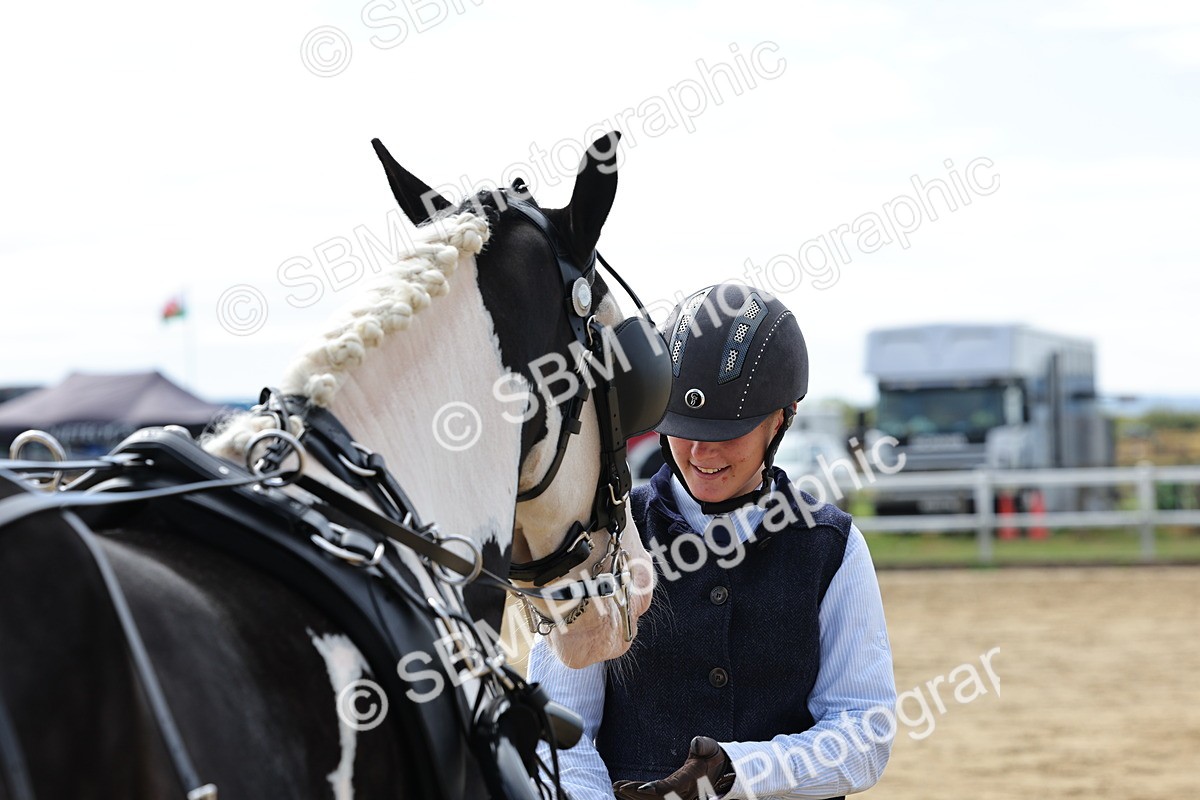 SBM_000927 - Class 8 - Novice Horse or Pony to any vehicle