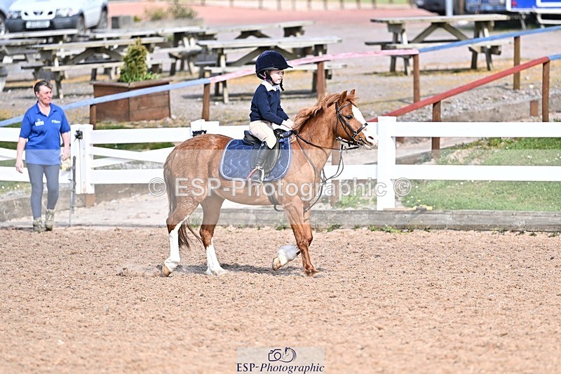 260331-151630-00012 - Clear Round
