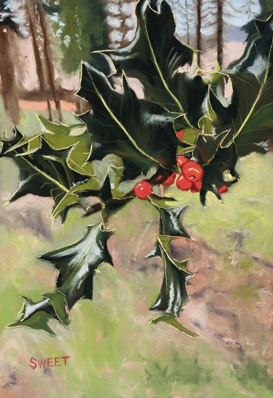 Winter at the Drinns - Paintings