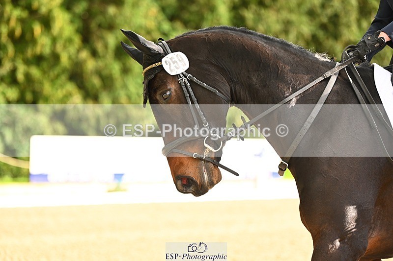 231021-153110-20872 - 259-BOSTON.IV-Rosie.Thomson-DR