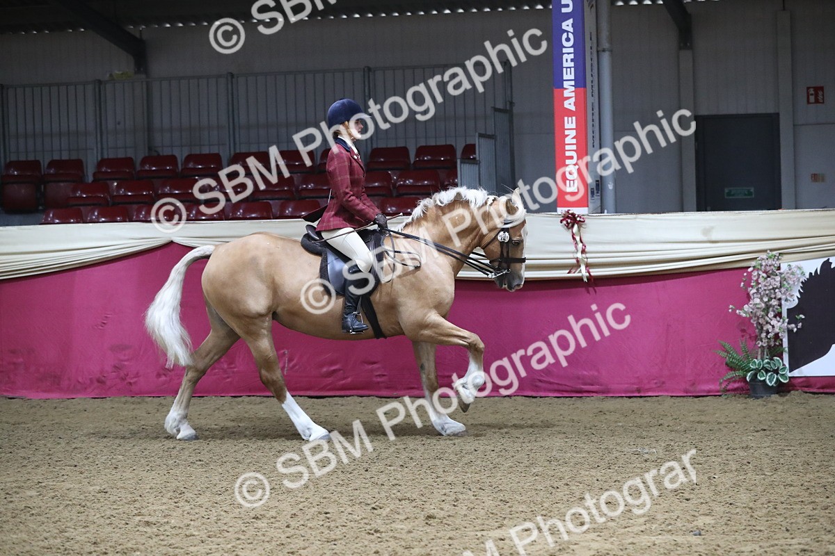 SBM_10364 - Class 102 Equitation (best rider) Adult