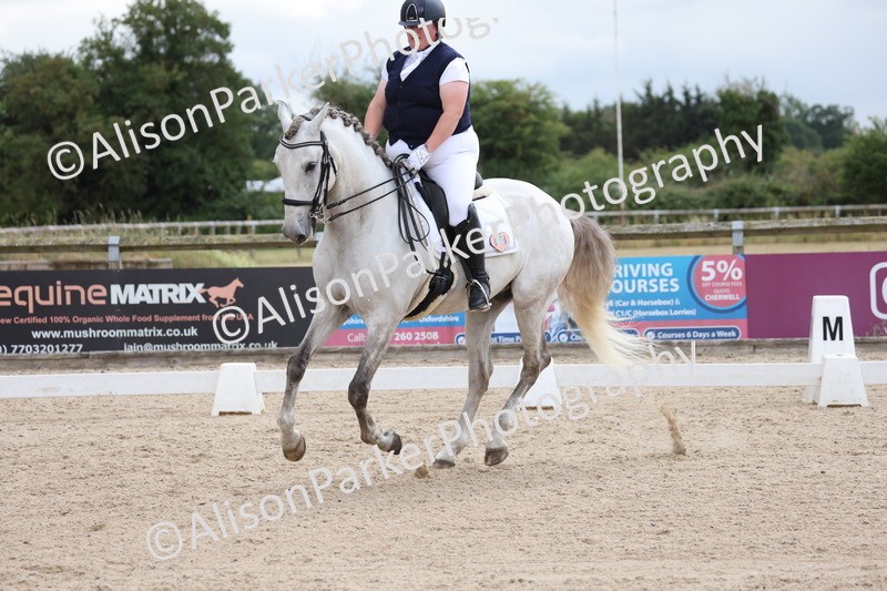 20250706-0458 - Class 17 - Elementary 5