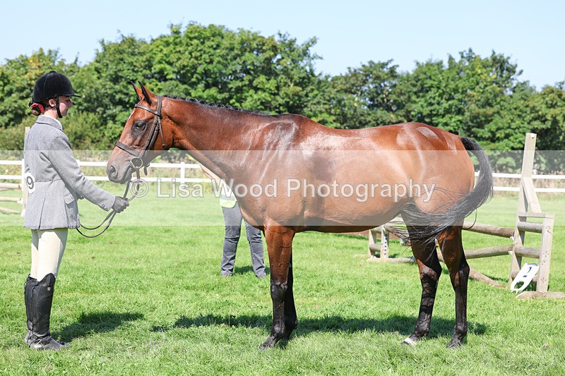 3E7A8497 - Class 4: Novice working Hunter