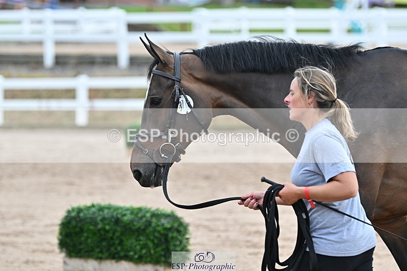 240717A-143220-02117 - Trot Up 2pm to 3pm - This folder is not in time order