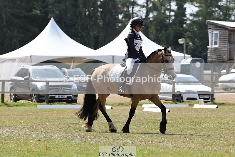 250823A-125931-29902 - Arena C