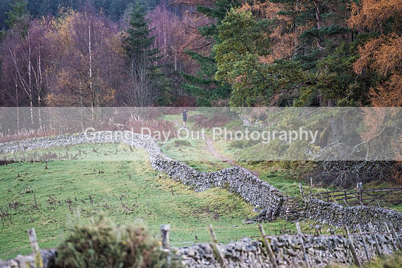 TVU 50  60K-29 - High Terrain Events Tweed Valley 50 & 65K Ultra Trail Races Sunday 19th November 2023