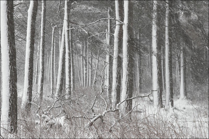 April Snow Showers - Peak District Winter