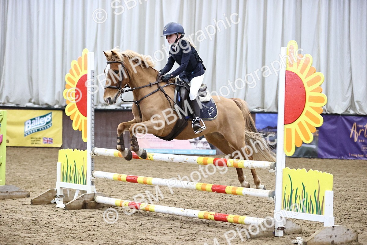 SBM_000334 - Class 2 - Pony British Novice - 80cm