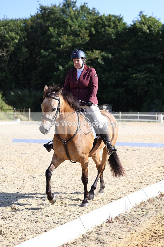 3E7A3406 - Class 2: Intro 1 2024 Section B