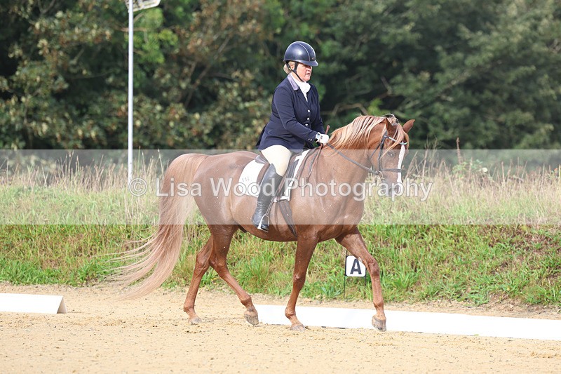 3E7A1906 - Class 1: Intro 4 2024 section A