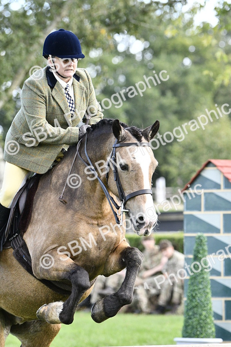 SBM_45758 - S33 - Working Hunter Pony