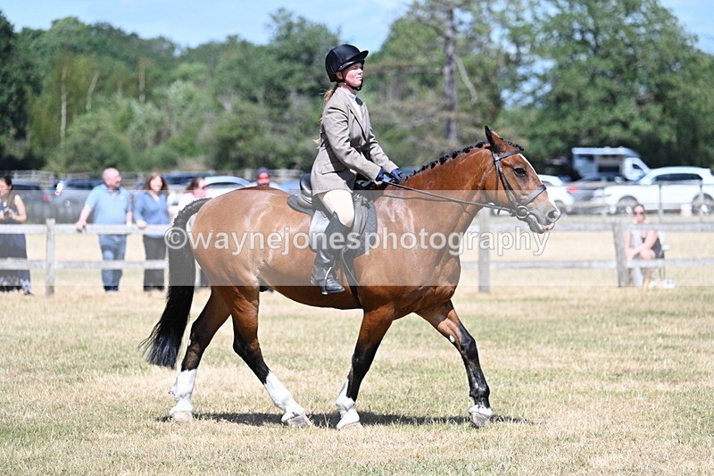 WJ7_3479 - Class 8 Ridden Veterans