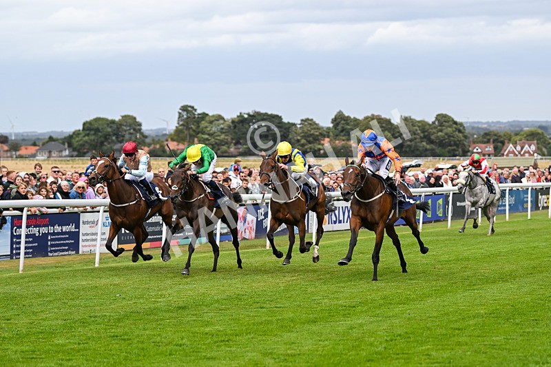 250824-Race 3-Blueandtangerine-3233 - Race 3