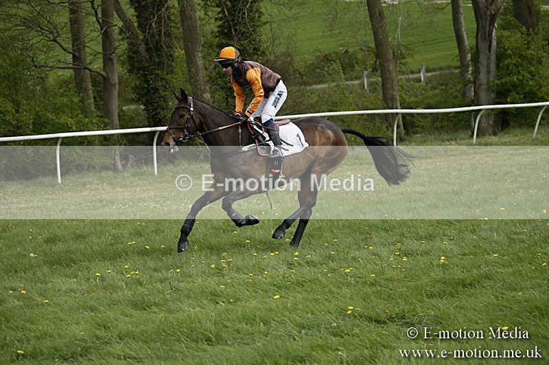 PtP 170417 146 - Old Berks Point-to-Point Lockinge 17/04/17