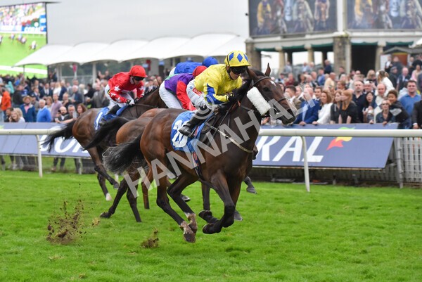 yr09102021r7-29 - Race 7 5.00pm Coral Proud Sponsors Of British Racing Finale Handicap
