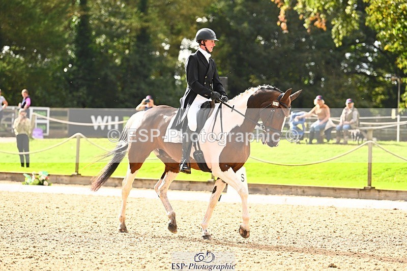 231020-135510-09751 - 301-WESTCEFFYL.KINGSWAY.LAD-Ben.Lee.Liles-DR