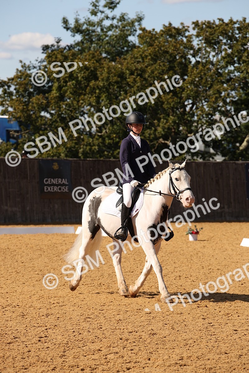 SBM_24256 - D5 - Small Tour Championship - Intro C