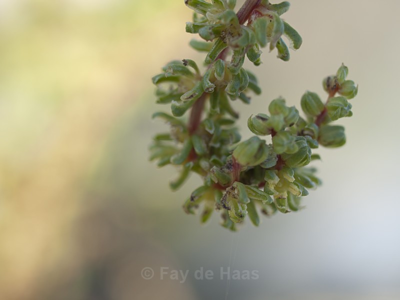  - Nature's Wonders