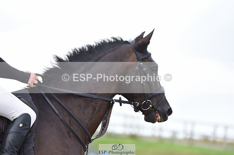 230711A-180316-00370 - 80cm