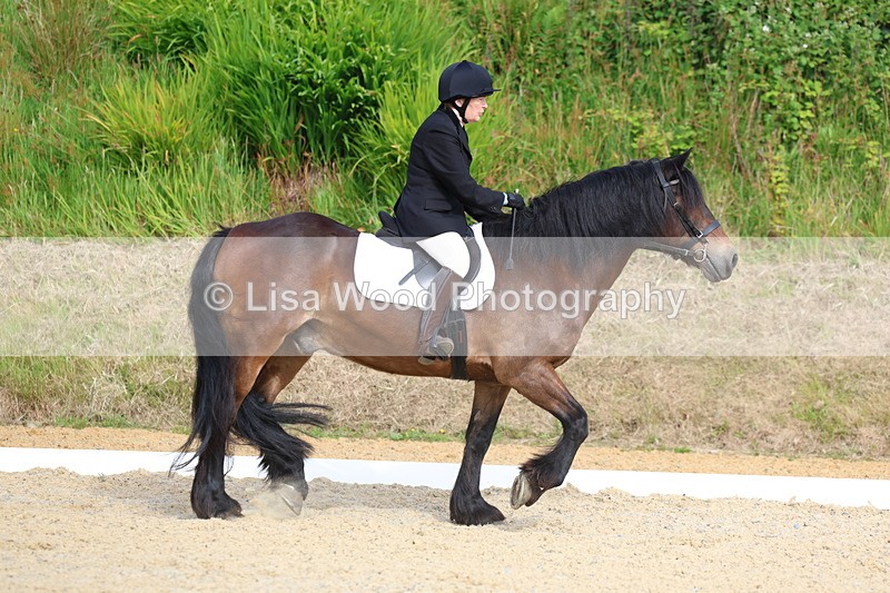 3E7A1363 - Class 1: Intro 2 2024 Section A