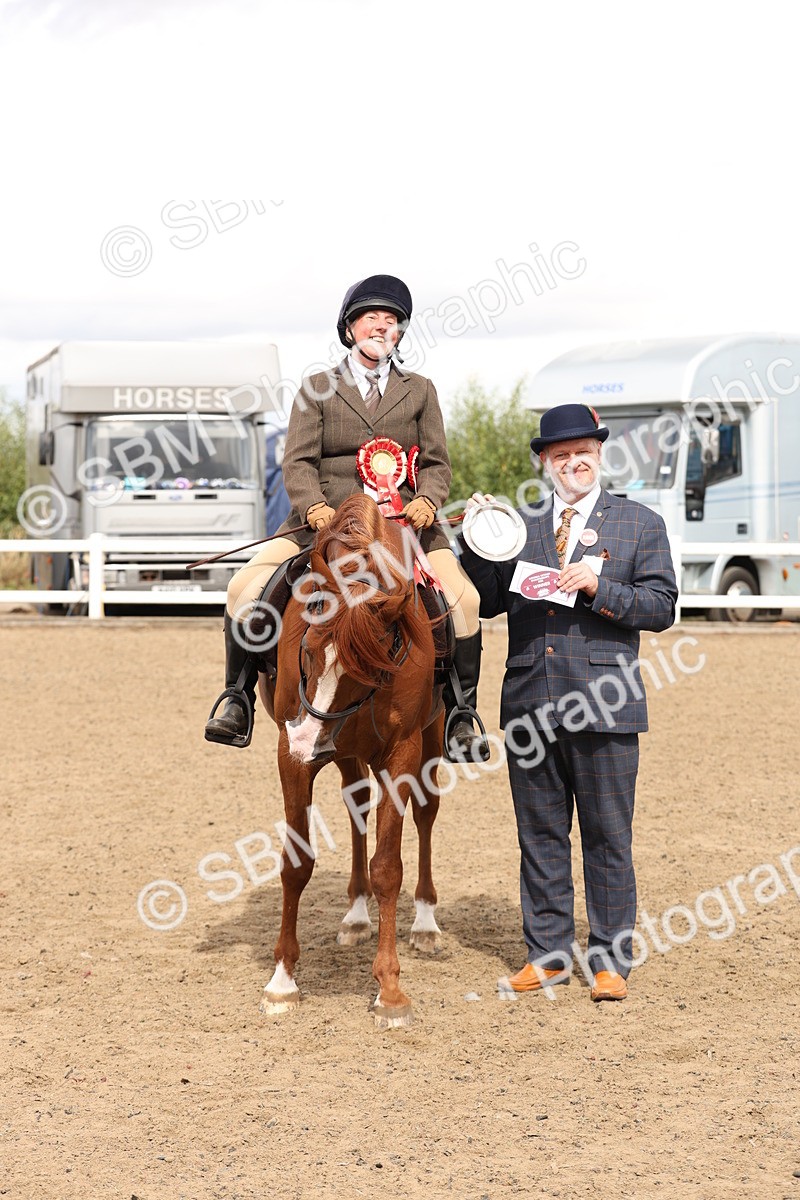 SBM_05237 - Class 56b -  Style & Performance - 50cm (20+)